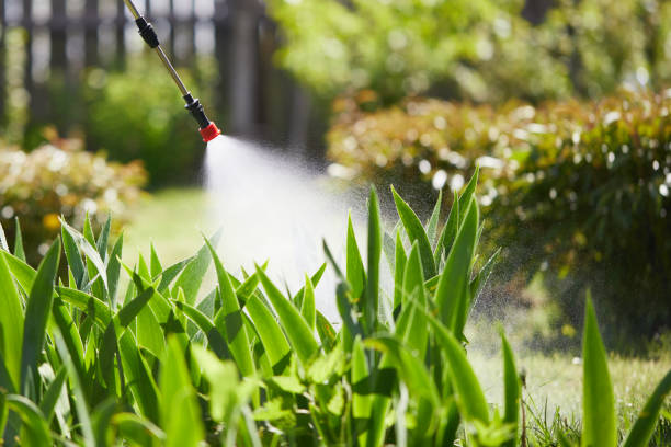 Tamper-Resistant Bait Stations for Rodents in Milan