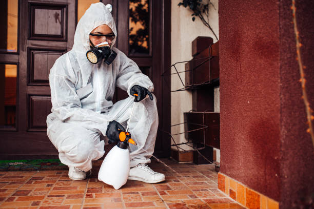 Attic and Crawl Space Rodent Treatment in Milan